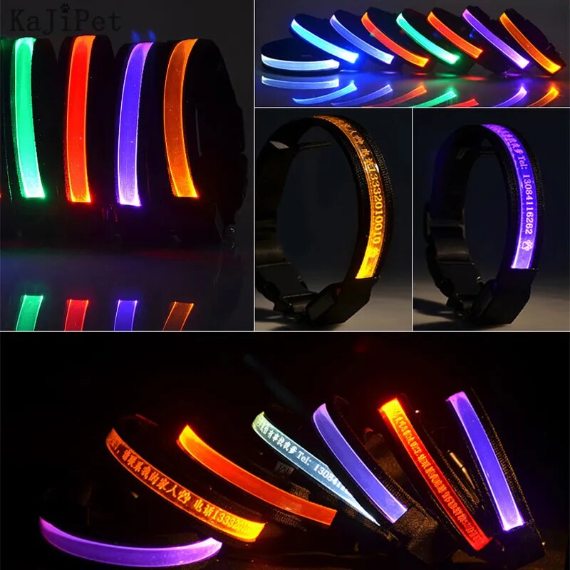 Custom Lettering Led Dog Collar Personalized Nylon Pet Dog Tag Collar Cat Adjustable Glowing Dog Collar Led Light Night Safety