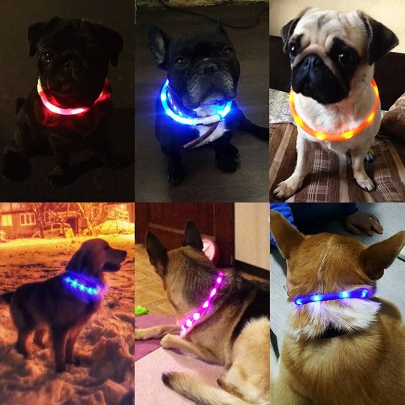 Dog Collar Led Light Flashing Night USB Charging Dog Cat Collars USB Luminous Collar Pet CollarNeck Decoration Glowing In Dark