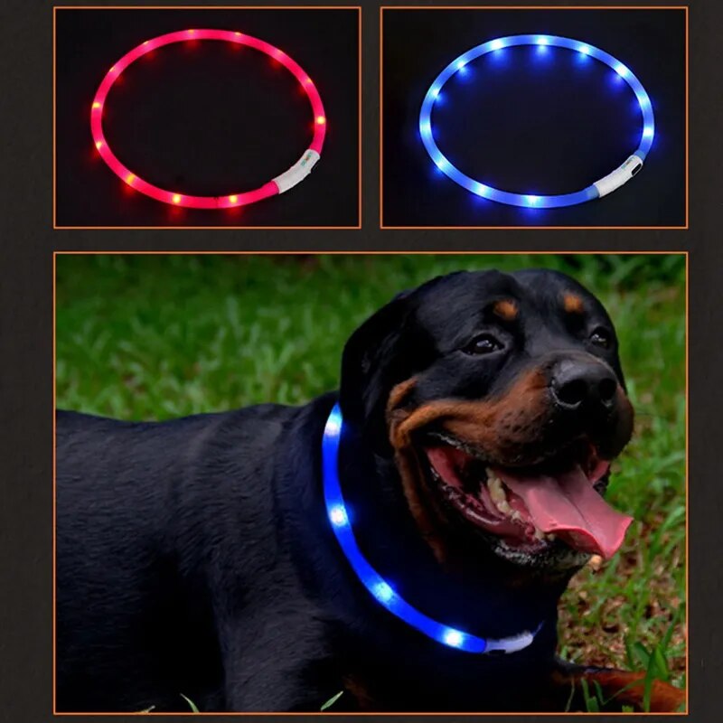 Dog Collar Led Light Flashing Night USB Charging Dog Cat Collars USB Luminous Collar Pet CollarNeck Decoration Glowing In Dark