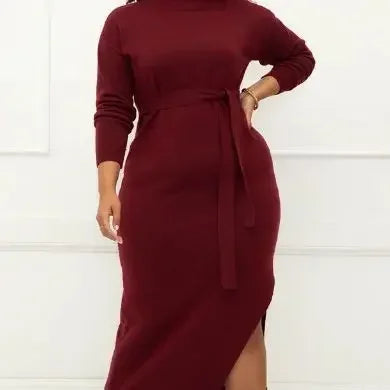 2023 autumn and winter best-selling element women plus long funnel neck dress