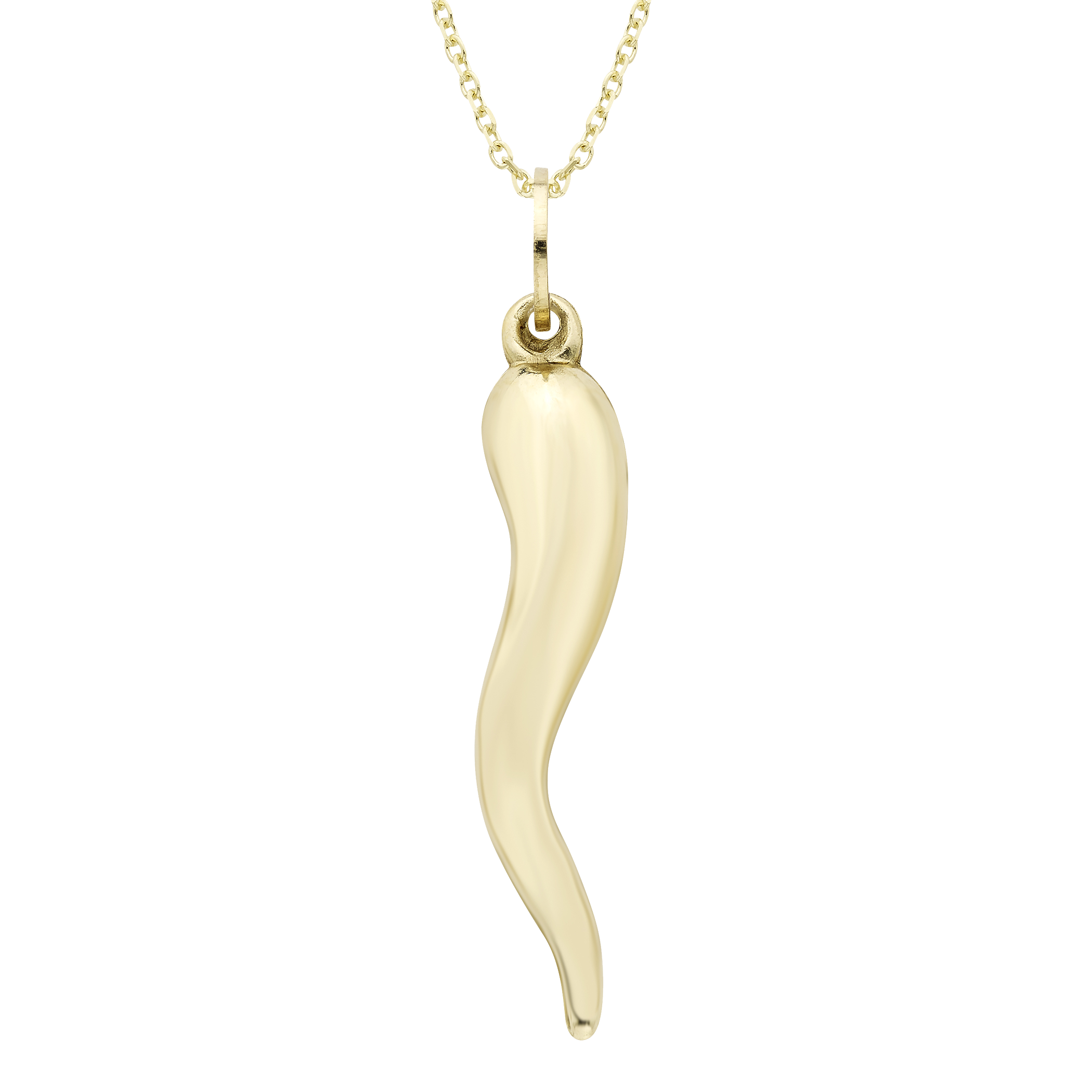 Gold Horn Charm Necklace