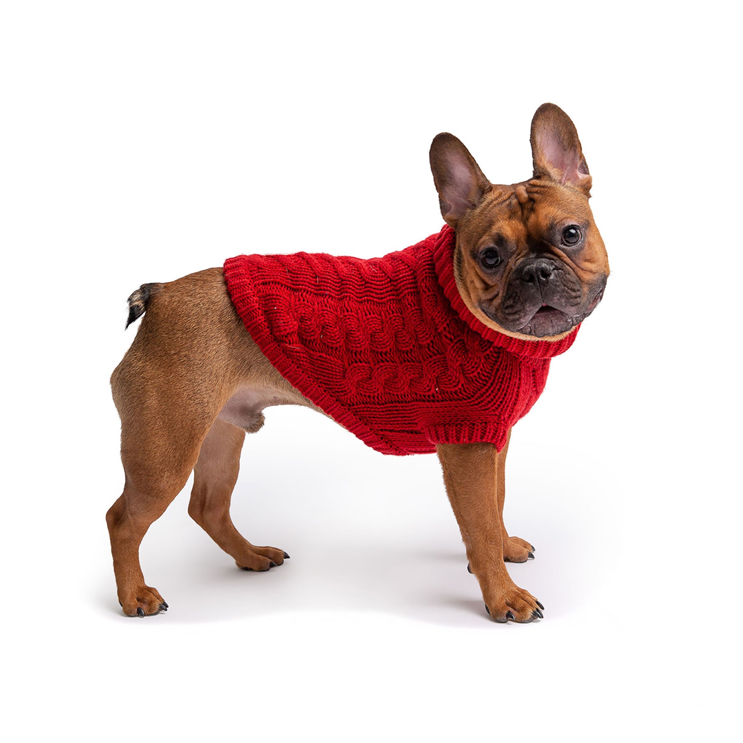 Red Chalet Dog Sweater