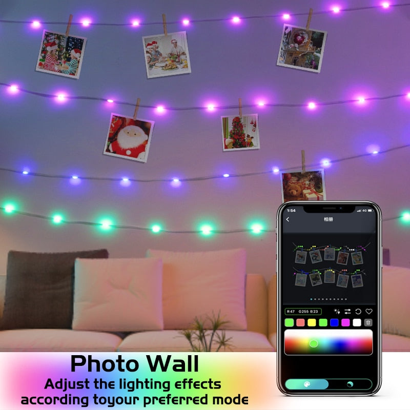 RGB Smart Fairy Lights