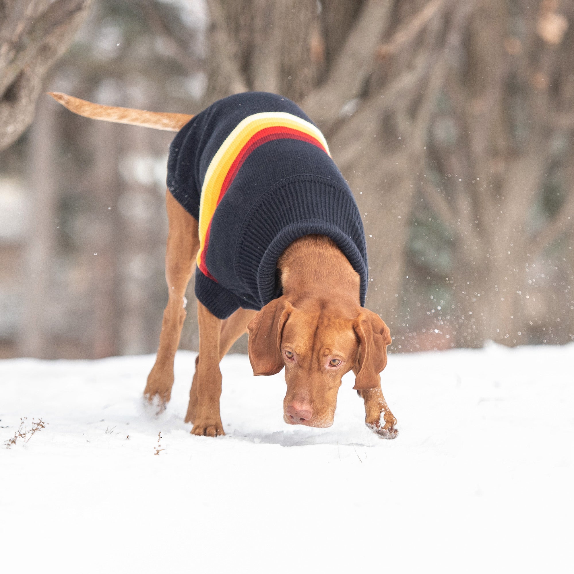 Retro Sweater - Navy