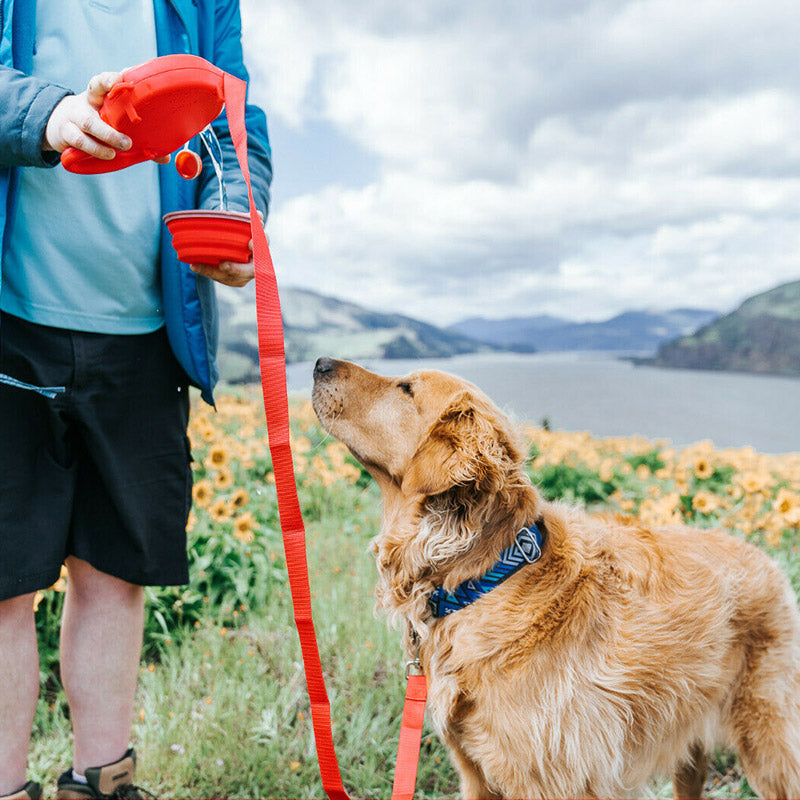 Multifunctional Pet Leash