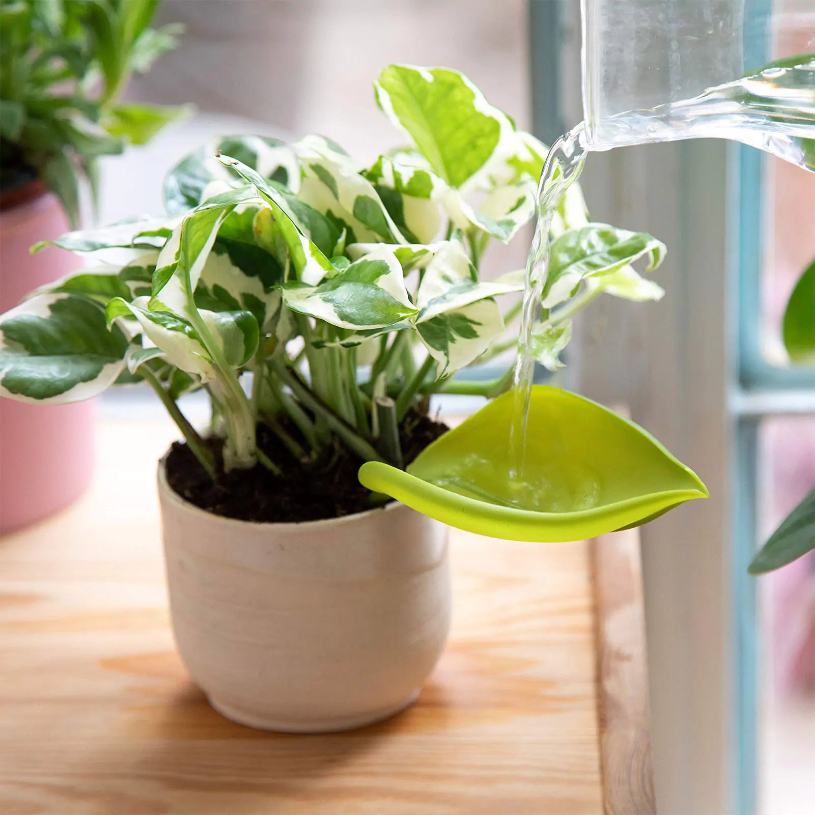 Plant Watering Funnel