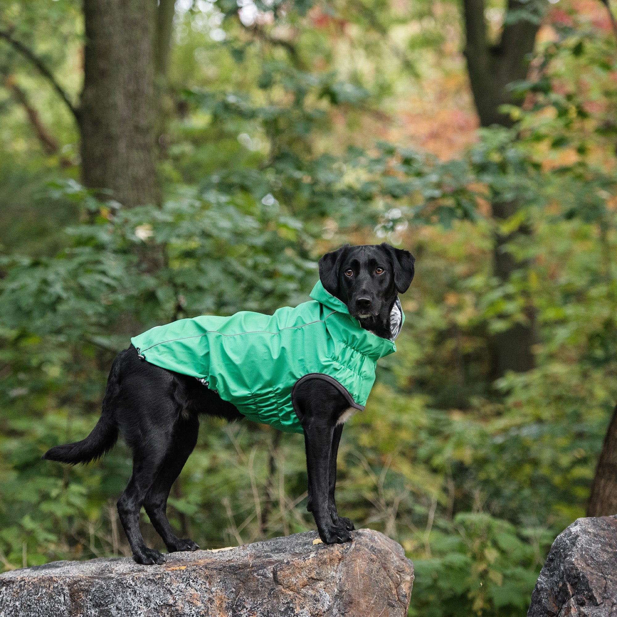 Reversible Elasto-Fit Raincoat - Green