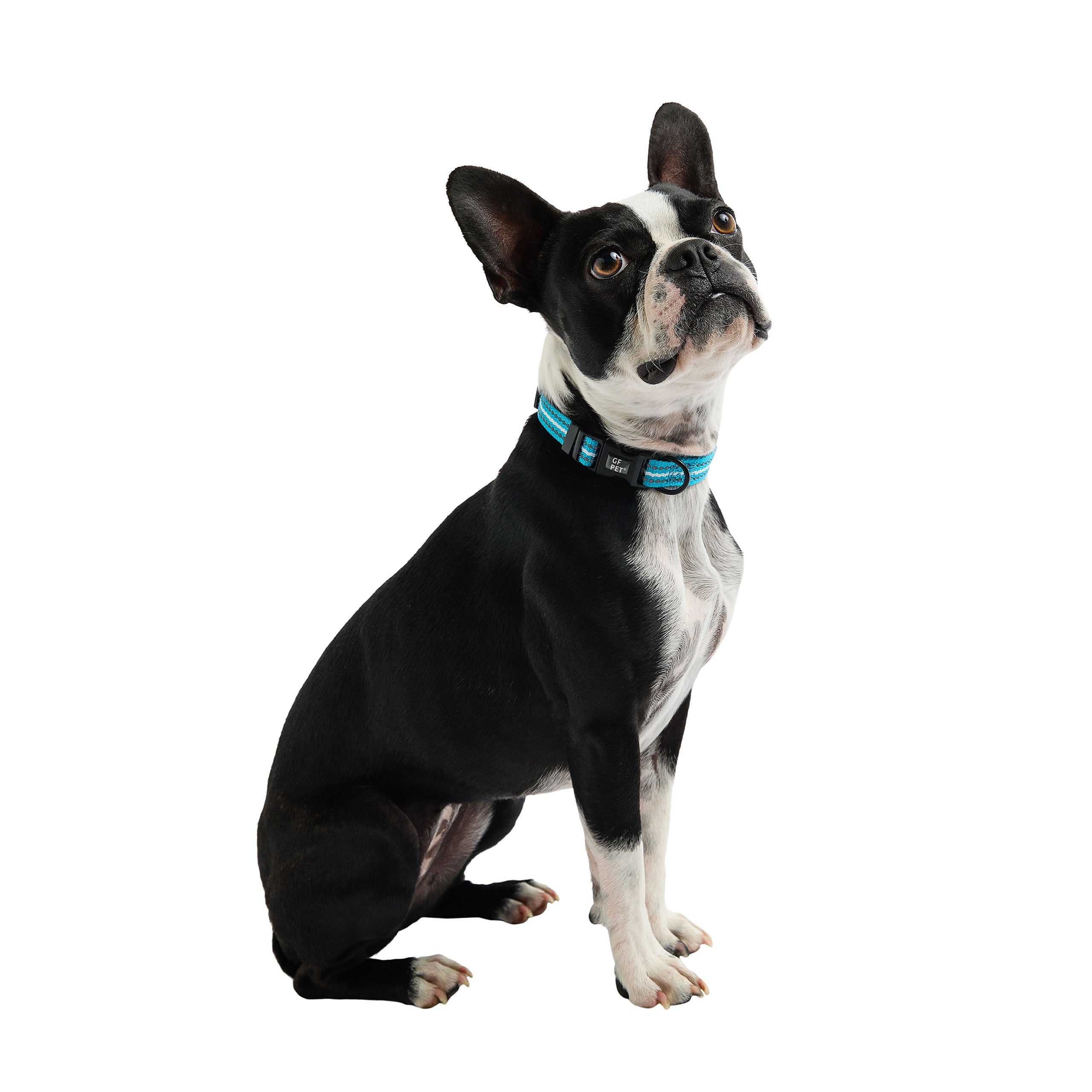 Reflective Collar - Neon Blue