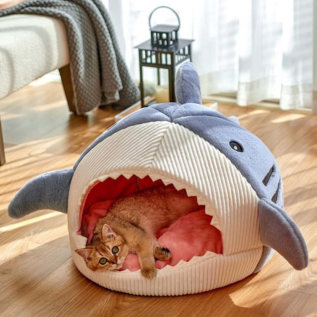 The Shark Pet Bed