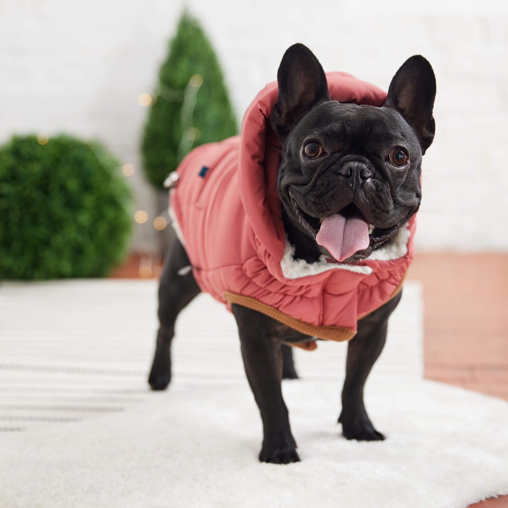 Super Puff Parka - Pink