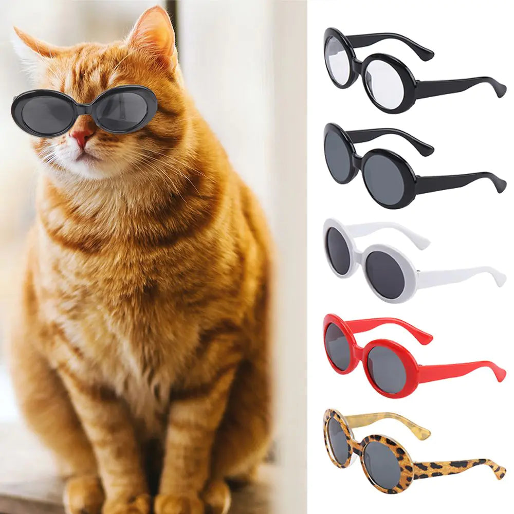 Pet Eyeglasses Photograph Prop Accessories